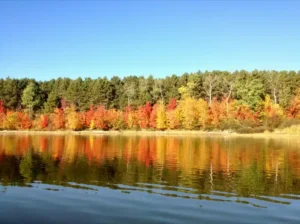 Moss Creek Fall 2012